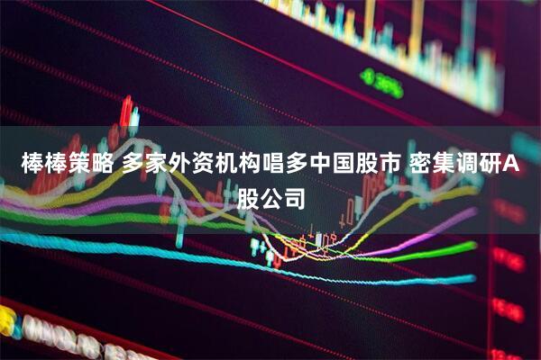棒棒策略 多家外资机构唱多中国股市 密集调研A股公司