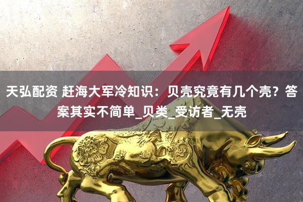 天弘配资 赶海大军冷知识：贝壳究竟有几个壳？答案其实不简单_贝类_受访者_无壳