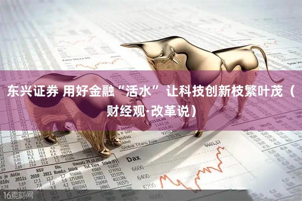东兴证券 用好金融“活水” 让科技创新枝繁叶茂(财经观·改革说)