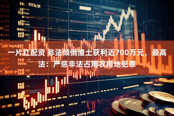 一片红配资 非法倾倒渣土获利近700万元,最高法:严惩非法占用农用地犯罪